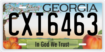GA license plate CXI6463