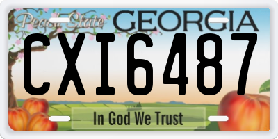 GA license plate CXI6487