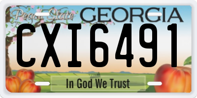 GA license plate CXI6491