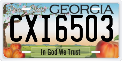 GA license plate CXI6503