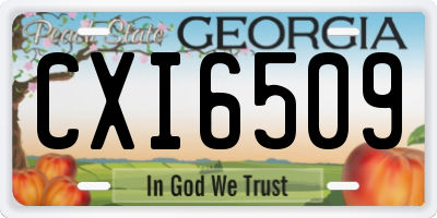 GA license plate CXI6509