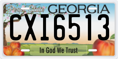 GA license plate CXI6513
