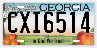 GA license plate CXI6514