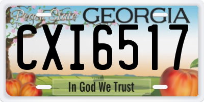 GA license plate CXI6517