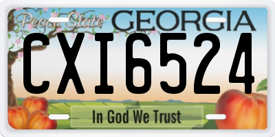 GA license plate CXI6524