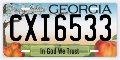 GA license plate CXI6533