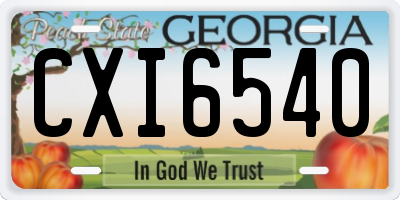 GA license plate CXI6540