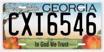 GA license plate CXI6546