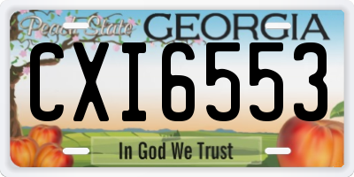GA license plate CXI6553
