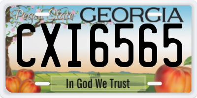 GA license plate CXI6565