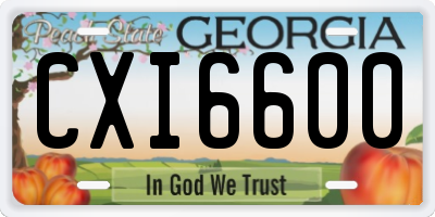 GA license plate CXI6600