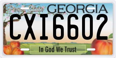 GA license plate CXI6602