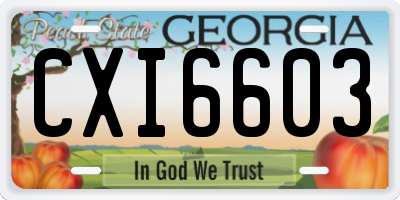 GA license plate CXI6603