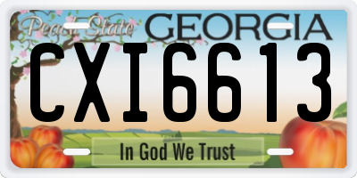 GA license plate CXI6613
