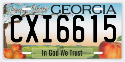 GA license plate CXI6615