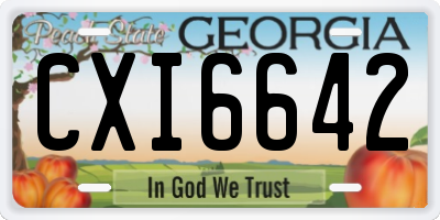 GA license plate CXI6642