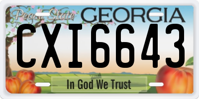 GA license plate CXI6643