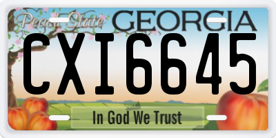GA license plate CXI6645