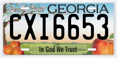 GA license plate CXI6653