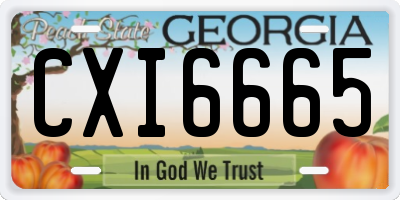 GA license plate CXI6665