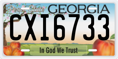 GA license plate CXI6733