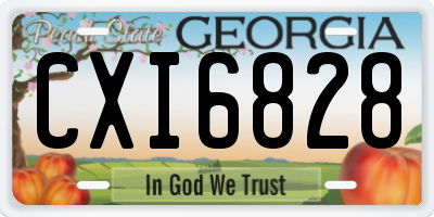 GA license plate CXI6828