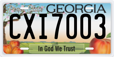 GA license plate CXI7003
