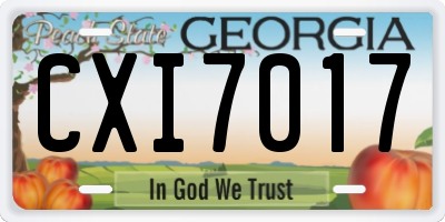 GA license plate CXI7017