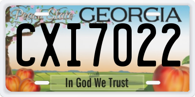 GA license plate CXI7022