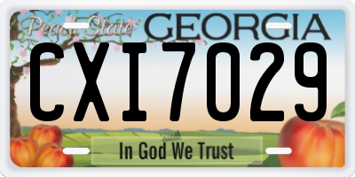 GA license plate CXI7029