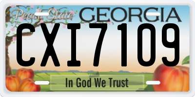 GA license plate CXI7109