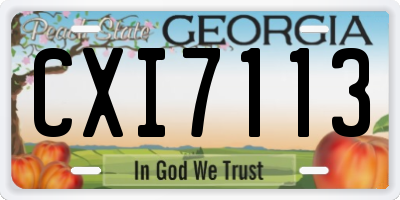 GA license plate CXI7113