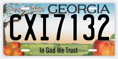 GA license plate CXI7132