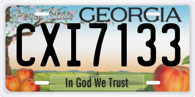 GA license plate CXI7133