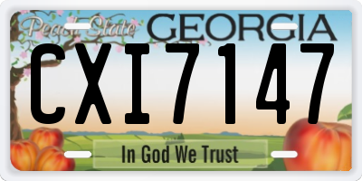 GA license plate CXI7147