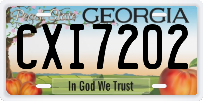 GA license plate CXI7202