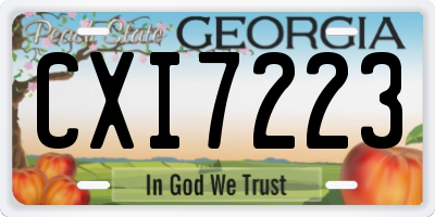 GA license plate CXI7223