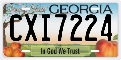 GA license plate CXI7224