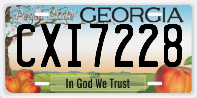 GA license plate CXI7228