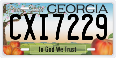GA license plate CXI7229
