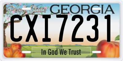 GA license plate CXI7231