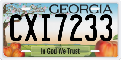 GA license plate CXI7233