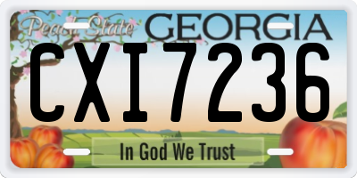GA license plate CXI7236