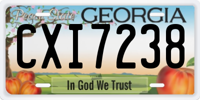 GA license plate CXI7238