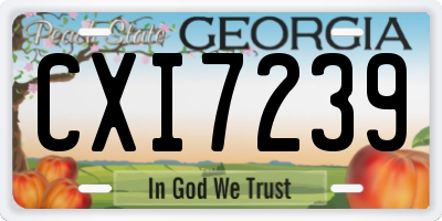 GA license plate CXI7239