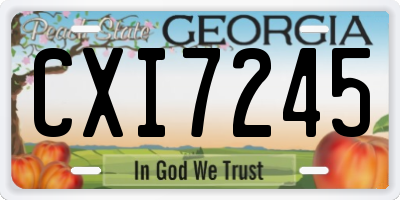 GA license plate CXI7245