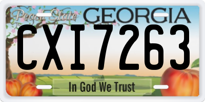 GA license plate CXI7263
