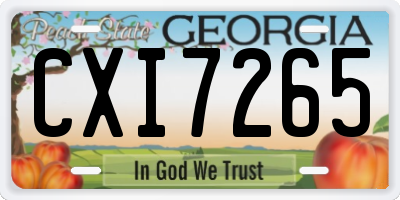 GA license plate CXI7265