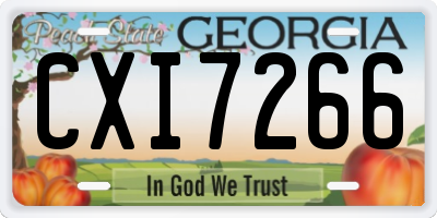 GA license plate CXI7266