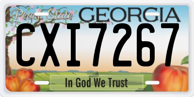 GA license plate CXI7267